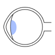 clinic_image