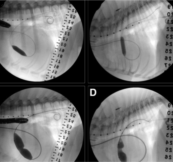 surgery_image